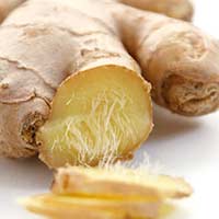 Gengibre e Chá de Gengibre para Enxaqueca! gengibre e cha de gengibre bom para enxaqueca Gengibre e Chá de Gengibre para Enxaqueca!