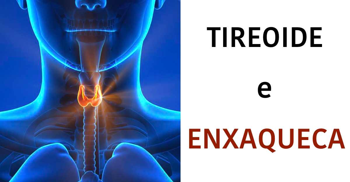 Tireoide, Enxaqueca e Dor de Cabeça • Dr. Alexandre Feldman